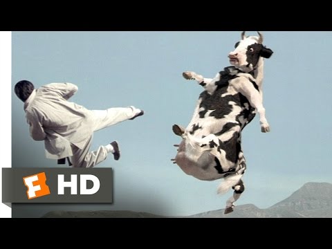 Funny animal videos - Matrix cow