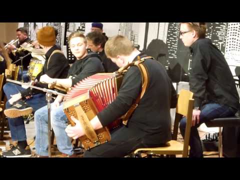 Steirische Harmonika - Thomas Hasenberger in Aktion beim Borg.Concert 2017