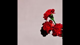 John Legend - For the First Time