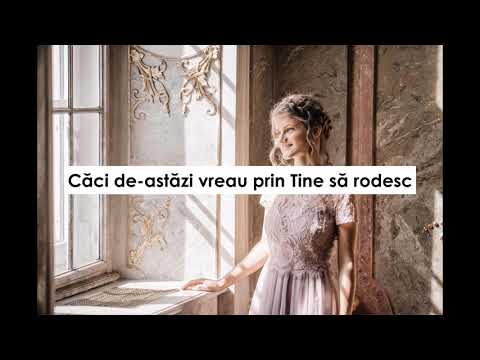 Melissa Molnar - Inca un an