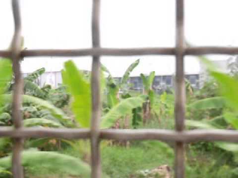T-16:17 passing nearly SM santa rosa city and viaduct