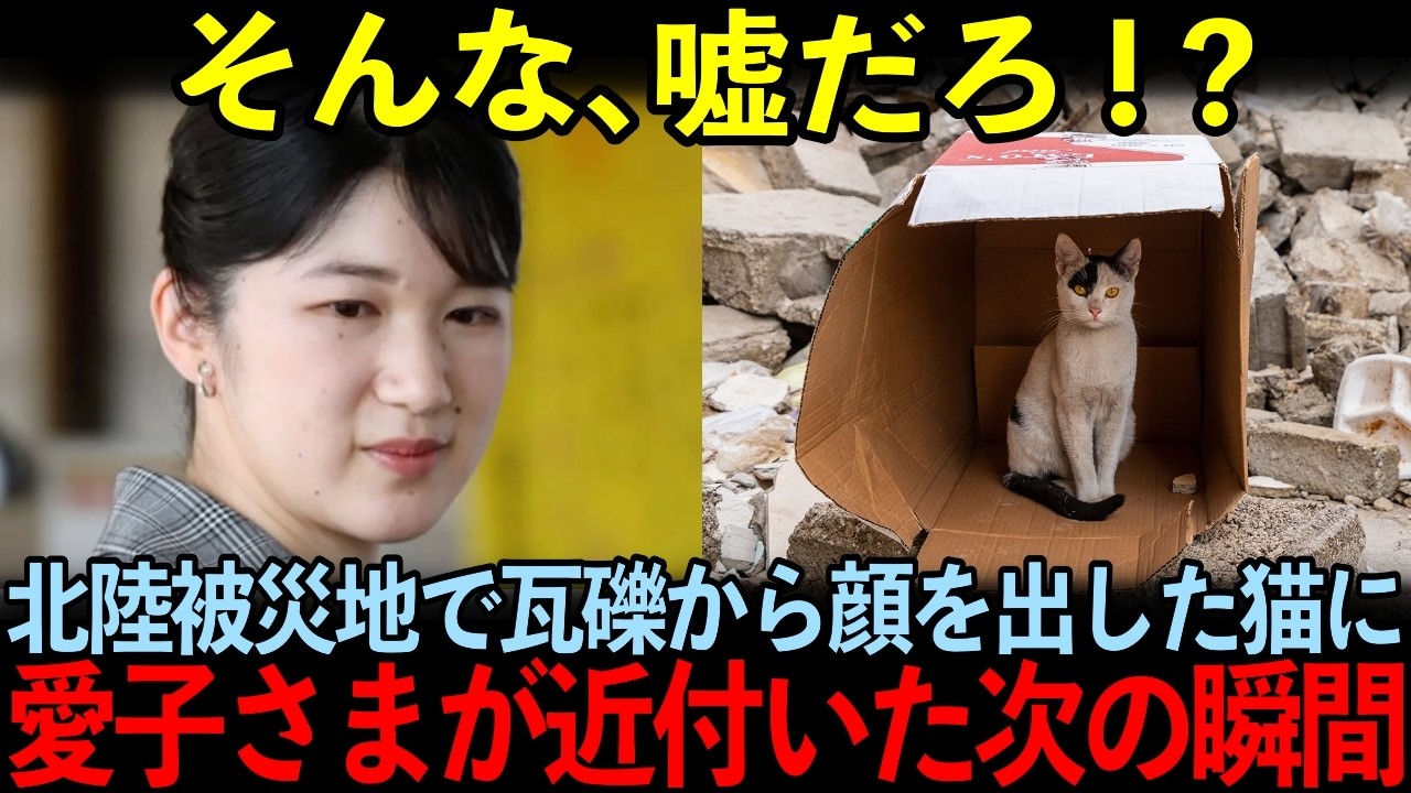 愛子さまが能登被災地で猫を見かけた次の瞬間！？誰もが目を疑う衝撃行動に・・・