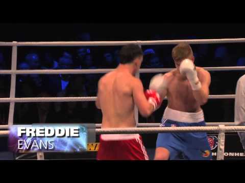 Boxer Profiles - Freddie EVANS - British Lionhearts