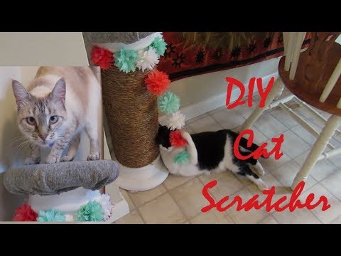 DIY Easy Cat Scratcher