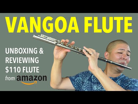 Vangoa Closed Hole Flute Unboxing & Review ($110 Amazon Flute Tested by Pro Flutist)