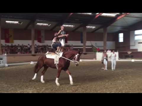 Gruppenkür UVT Eligius (NÖ) mit Fixkraft Voltigierer Stefan Csandl