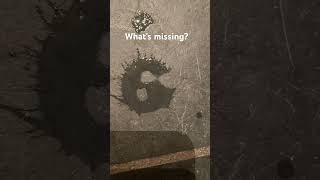 What’s missing?