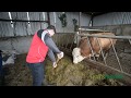Beware Of The Bull The Quick Thinking Of One Man S Kids Saved His Life