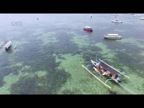 Images de drones de surfeurs à Hyatt Reef