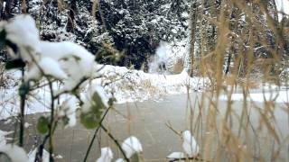 January Snow (Sun Wizard - Safe and Sound)