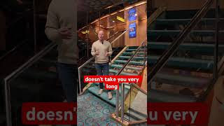 Do you take the stairs on a cruise all day… just to justify the buffet later?