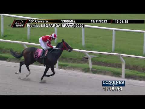 221119 c10 VIEJO RICARDO (BRZ)