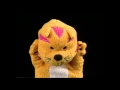 Baby Bach Musical Adventure Part 2 Classical Music For Kids Baby Einstein