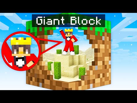 Minecraft but there’s Only One Giant Block