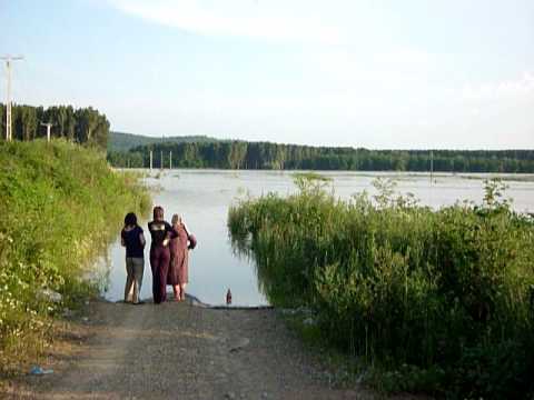 siretul, la cotu vames