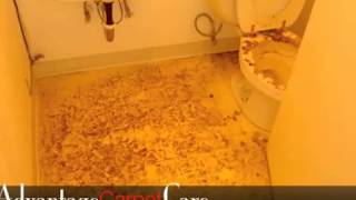 preview picture of video 'Carpet Cleaning | Tile Care | Richmond, San Rafael, Walnut Creek | Advantage Carpet Care'