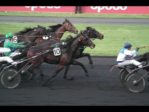 Prix d'Amérique Opodo 2015 - Hipppodrome Paris-Vincennes