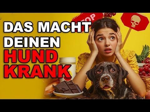 5 Tödliche Fehler, die deinen Hund krank machen – Nummer 3 ignorieren die meisten!