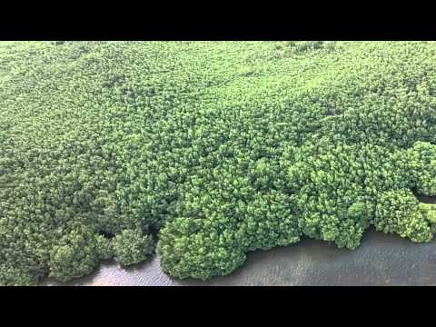 Vuelo #30 playa Los Machos.mov