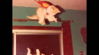 L.A. WITCH - YOUR WAYS