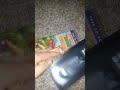 My Universal Cartoon Studios VHS Collection