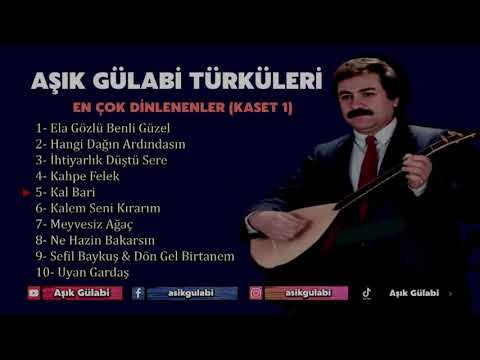 Aşık Gülabi Türküleri  (En Çok Dinlenen Türküler Bölüm 1) #aşıkgülabi