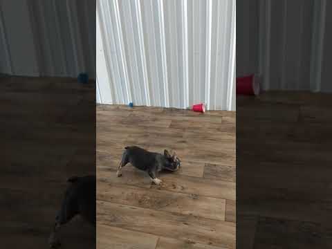 Zoe playing with a red cup.