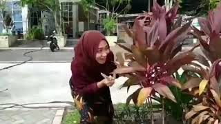 Download lagu Lagu versi Bangka yang lucu mp3