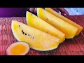 Best 3 Papaya Watermelon Mango Tropical Fruits