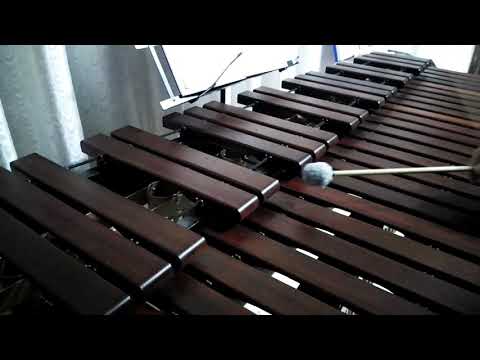 Inni di lode N°378: T'appartengo, Signor Marimba Cover
