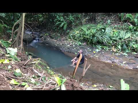 En la finca  en Buenafe -Quevedo los ríos