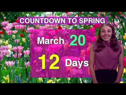 NewsLink Indiana Weather March 8, 2021 - Natasha Leland