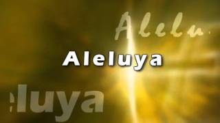 LC   Tu Me Haces Tan Feliz   MARCOS WITT