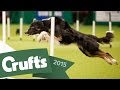 Day 1 Live | Crufts 2015 - YouTube