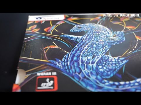 [搬运]旋转王 飞龙 3代  短颗粒套胶 评测 Spinlord Waran III  Varanus speedibus_1080p