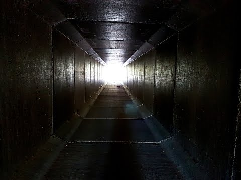 Guilherme Franco - Misanthropy