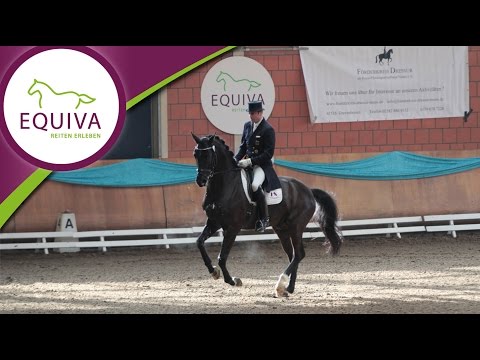 Die EQUIVA Dressur-Gala 2015
