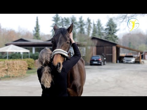 Die sanfte "Knochenbrecherin" - Shakira wird behandelt