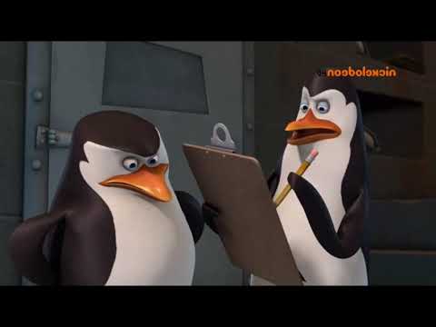 Pingwiny Z Madagaskaru Cały Odcinek Po Polsku "Nie Wolno Prześledzić"