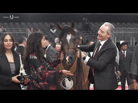 🌸 RDS EXQUISITE 🌸⁣ World Bronze Champion Junior Filly⁣, 2021 PARIS ARABIAN HORSE WORLD CHAMPIONSHIP