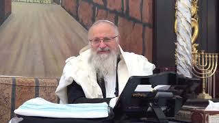 משמעות המלחמה בחג השבועות | הרב שמואל אליהו | הלכה יומית | ז' סיון תשפ"ד (הרב שמואל אליהו) - התמונה מוצגת ישירות מתוך אתר האינטרנט יוטיוב. זכויות היוצרים בתמונה שייכות ליוצרה. קישור קרדיט למקור התוכן נמצא בתוך דף הסרטון