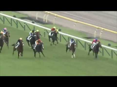 2019.10.27 2yo Newcomer - Tokei Tannhauser