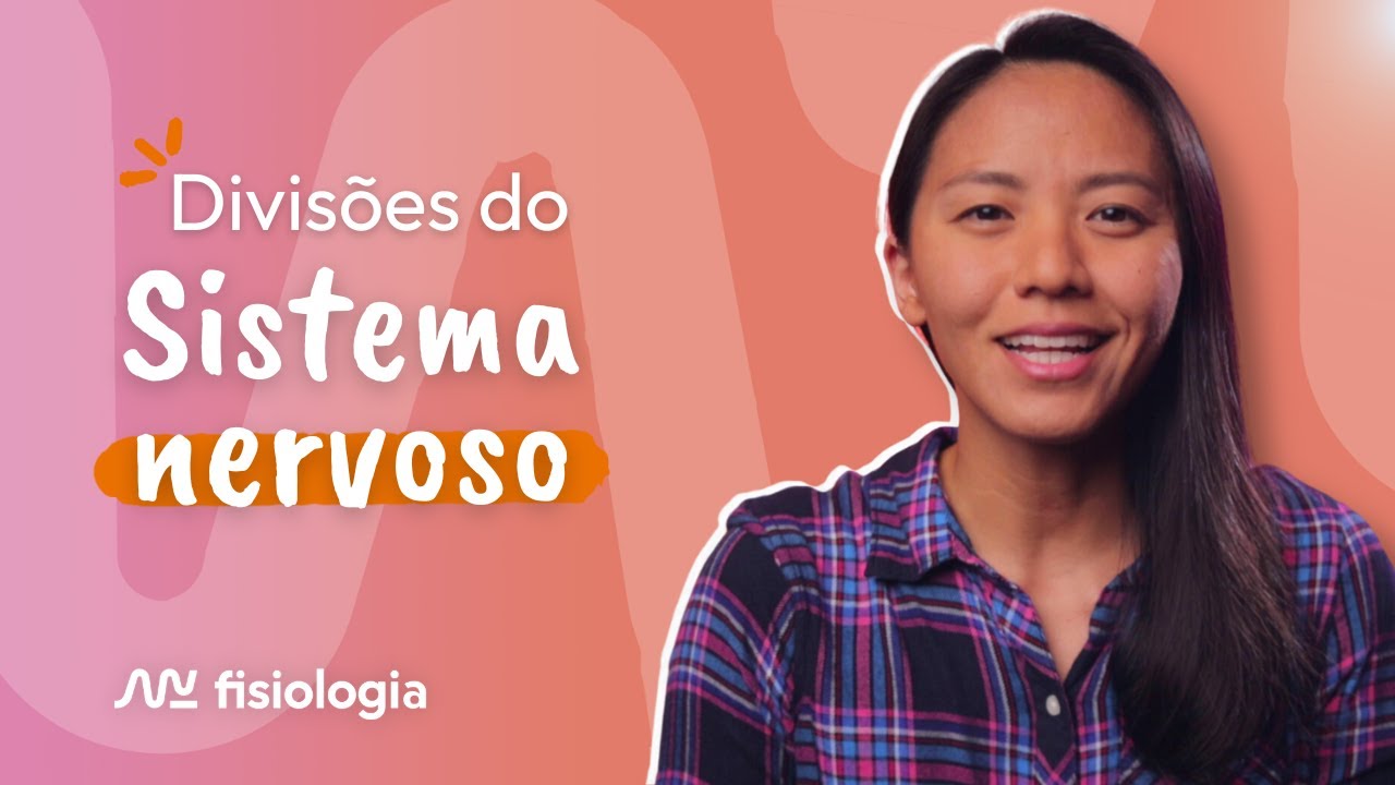 DIVISÕES DO SISTEMA NERVOSO | MK Fisiologia