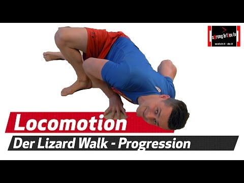 Lizard Crawl Progression - Animal moves - Schluss mit dem 0815 - Müll