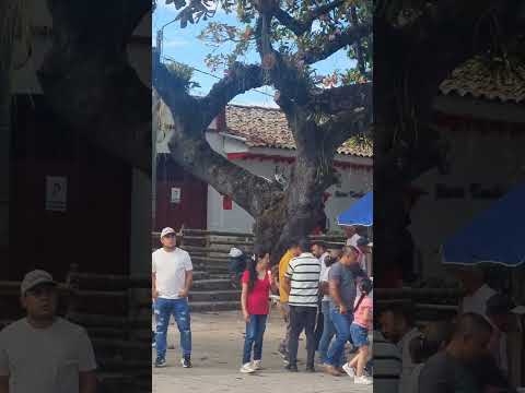 Fiestas Patronales Paicol Huila. #Paicol #Huiila  #Fiestas