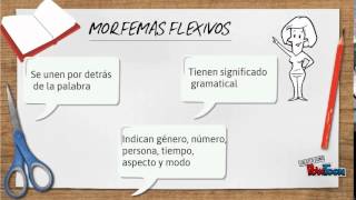 Estructura de las palabras