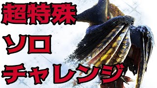 【MHXX】超特殊ソロ　隻眼イャンガルルガ　朧隠ホロロホルル編
