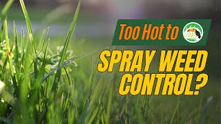 When is it Too Hot to Spray Weed Control?