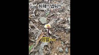 Download lagu (아무도 궁금해하지 않지만 알려주고 싶은 이야기) 취해!! 냅둬!! - 비밀~~ mp3 Download lagu (아무도 궁금해하지 않지만 알려주고 싶은 이야기) 취해!! 냅둬!! - 비밀~~ mp3