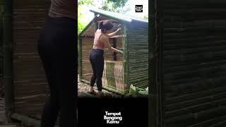 Download lagu membangun rumah bambu di tengah hutan untuk bertahan hidup #survival mp3